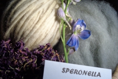 speronella