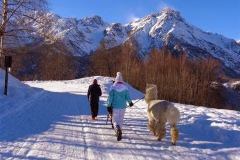 Trekking nella neve